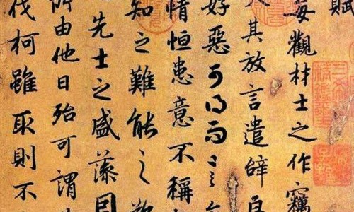 瘦脂肪型大腿的方法-专业瘦脂肪型大腿的方法有哪些平台-瘦脂肪型大腿的方法图片